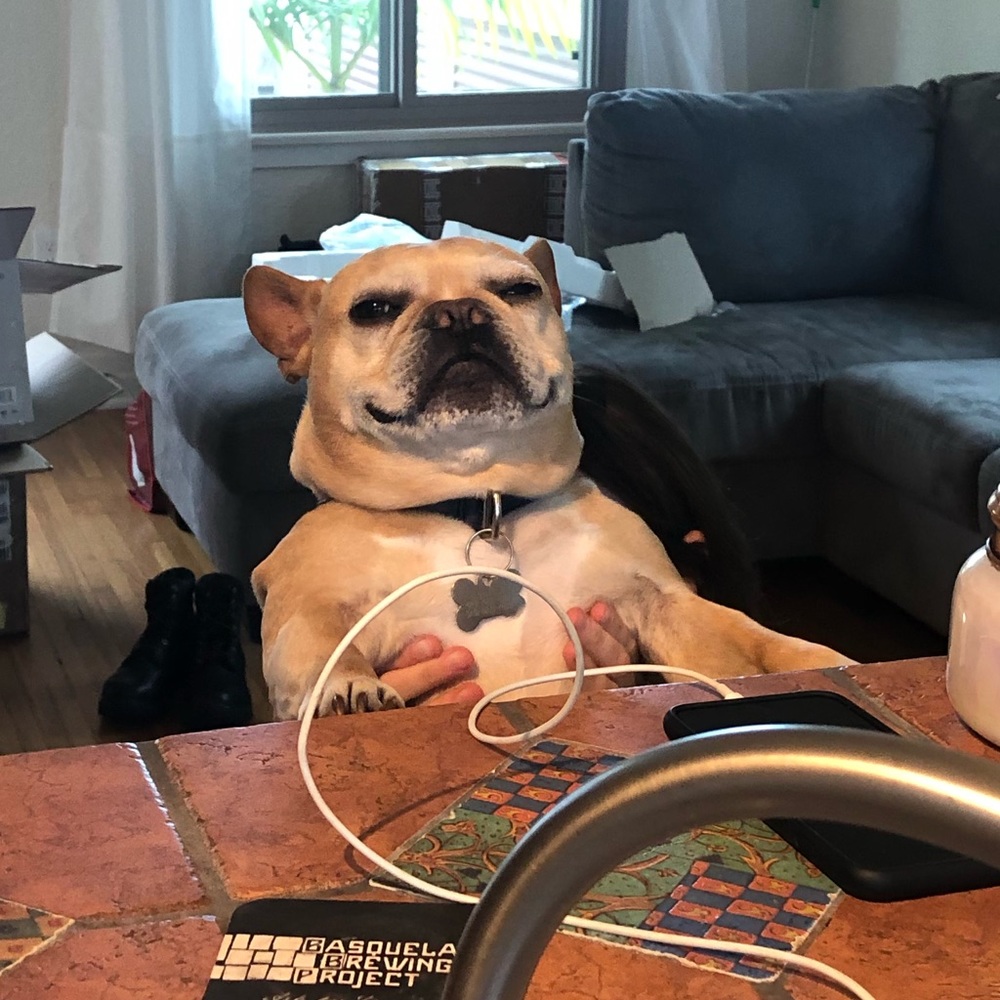 Meet your Posher, Derek